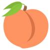 dianecollins561 - @dianecollins561 - TikTok
