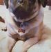 Diane McConnell- Colosimo - Facebook