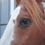 Diane Colvin - @tstock354 - Instagram