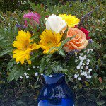 Diane Comstock - @dianecomstock - Instagram
