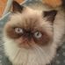 Diane Conaway - Facebook