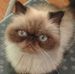 Diane Conaway - Facebook