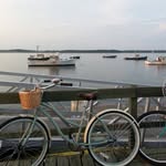 Diane Conaway - @d_mama_c - Instagram