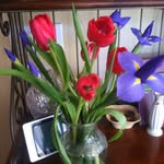 Diane Hansen Conaway - @dconaway1 - Instagram