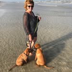 Diane Cone - @cone398 - Instagram