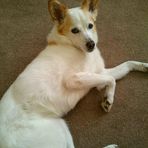 Diane Conlan - Facebook