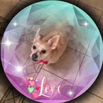 Diane Conley - @dncrdh22 - Instagram