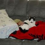 Diane Conlon - @conlondiane - Instagram