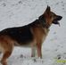 Diane Conn - Facebook