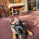 Diane Perry-Conner - @dianeconner12 - Instagram