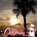 diane connell - @connell9584 - Instagram