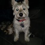 Diane Conover - @conover1948 - Instagram