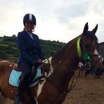 Diane Conroy - @diane_conroy - Instagram