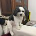 Diane Couchman - Facebook