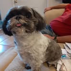 Diane Cramer - Facebook