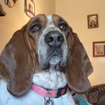 Diane Cramer - @diane442633 - Instagram