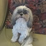 diane.cramer.7967 - @diane.cramer.7967 - Instagram