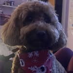 Diane Jakiela-Crimmins - @diane_crimmins - Instagram