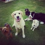 Diane Crossman - @crossman_di - Instagram