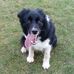 Diane Crossman - Facebook