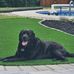 Diane Crossman - Facebook