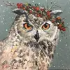 diane - @dianecrowleyhesli - TikTok