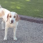 Diane Curran - @diane.curran.16 - Instagram