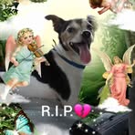 Diane Curry - Facebook