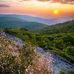 Diane Curry - Facebook