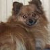 Diane Lennon-Danforth - Facebook