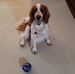 Diane Daniel - Facebook