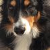 Diane Danis - Facebook