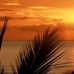 Diane Danis - Facebook