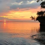 Diane Dearing - @dearing418 - Instagram