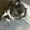 dianedelaney58 - @diane.delaney661 - TikTok