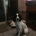 Diane Denney - Facebook