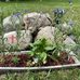 Diane Denney - Facebook