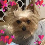 Diane Cox-Elswick - @diane_cox_denny_elswick - Instagram
