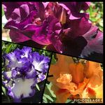 Diane Denny - @diane_denny_beadworks - Instagram