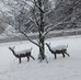Diane Denny - Facebook