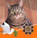 Diane Denny - Facebook