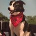 Diane M Denny - Facebook