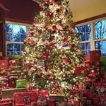 Diane DeYoung Morgan - @deyoungmorgan - Instagram