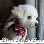 Diane Dileo - @diane.dileo1 - Instagram