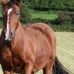 Diane Dobson - Facebook