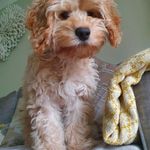 Diane Dobson - @diane.d.slavin - Instagram
