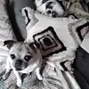 Dianne Dobson236 - @diannedobson236 - TikTok