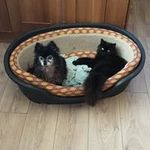 Diane Dodd - @dodd7037 - Instagram