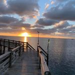 Diane Dodd - @diane.dodd.3990 - Instagram