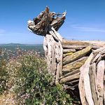 Diane Dodge - @diane.dodge.908 - Instagram